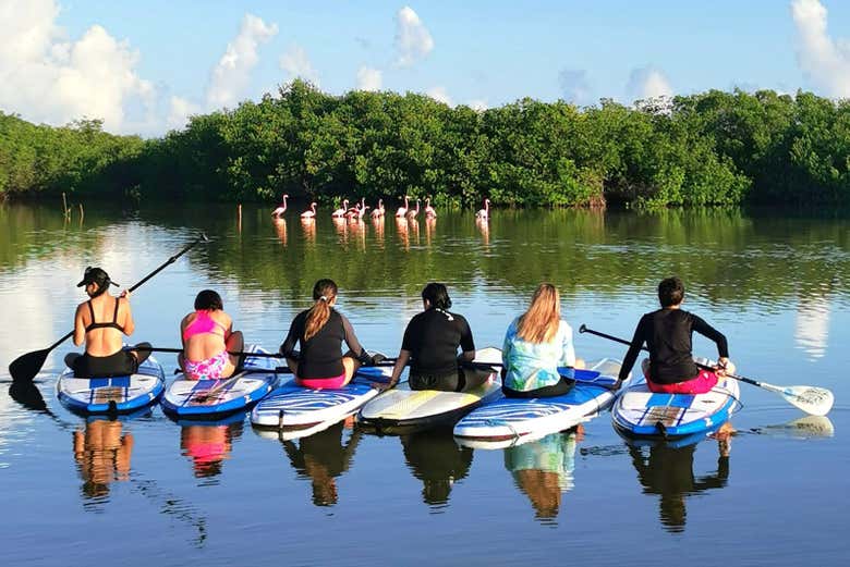 Profitez de l'activité de paddle