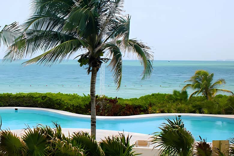 Podréis relajaros en el club