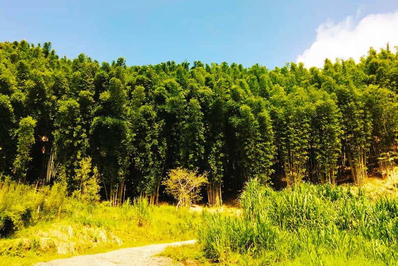 Conectaremos con la naturaleza en estado puro