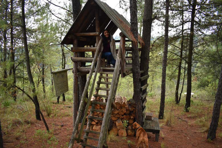 Visit the Rancho San Martín