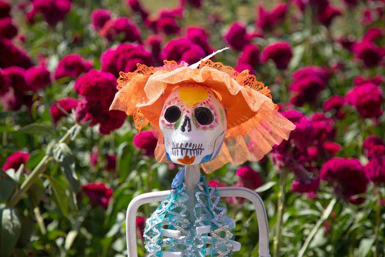 À la découverte de l'une des plus belles traditions du Mexique