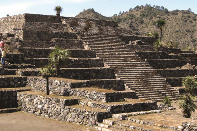 Conociendo la Pirámide de la Fertilidad