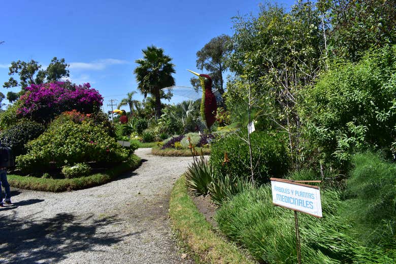 Paseando por los jardines del vivero