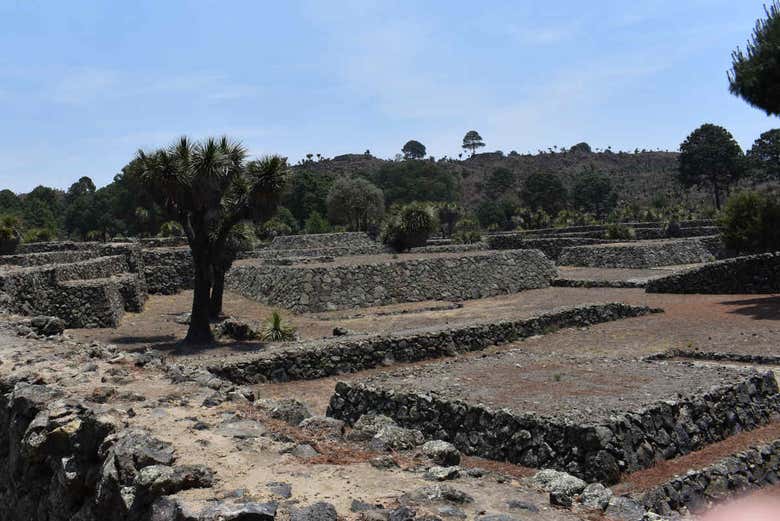 Recinto arqueológico Cantona