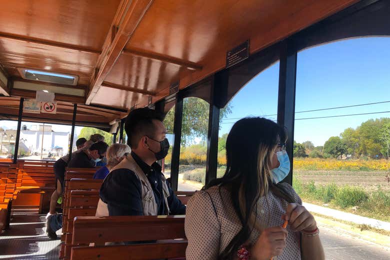 Disfrutando de los paisajes durante el viaje