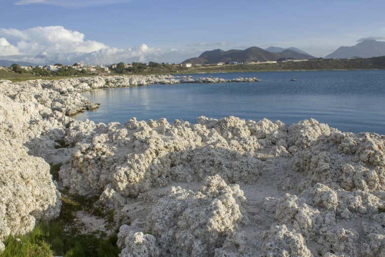 Sedimentos de la laguna volcánica