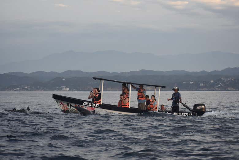Naviguez sur le Pacifique mexicain à la recherche de baleines