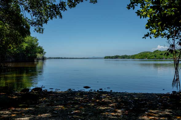 Manialtepec Lagoon Day Trip