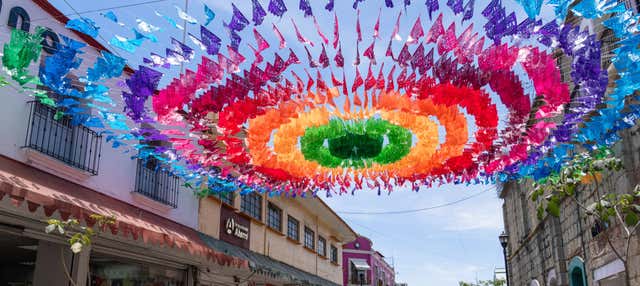 Excursión a Oaxaca y San Martín Tilcajete