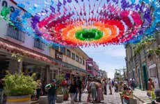 Excursión a Oaxaca y San Martín Tilcajete