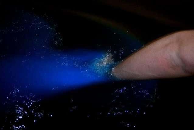 Bioluminiscencia en la mano