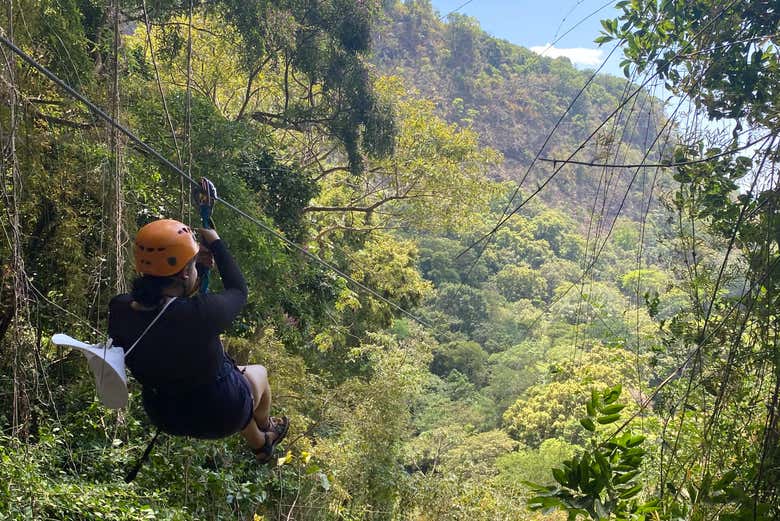 Soar through the Oaxaca Forest