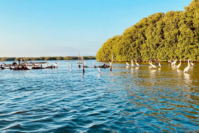 El Parque Nacional Lagunas de Chacahua
