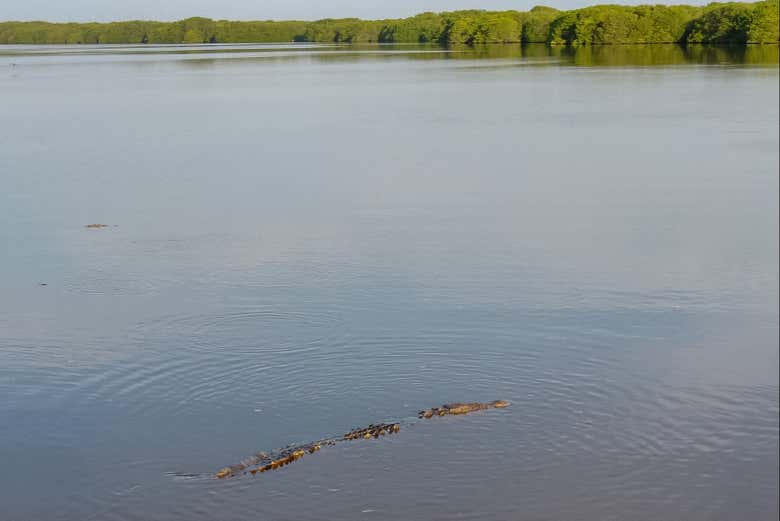 Surcaremos las aguas de la laguna de Chacahua