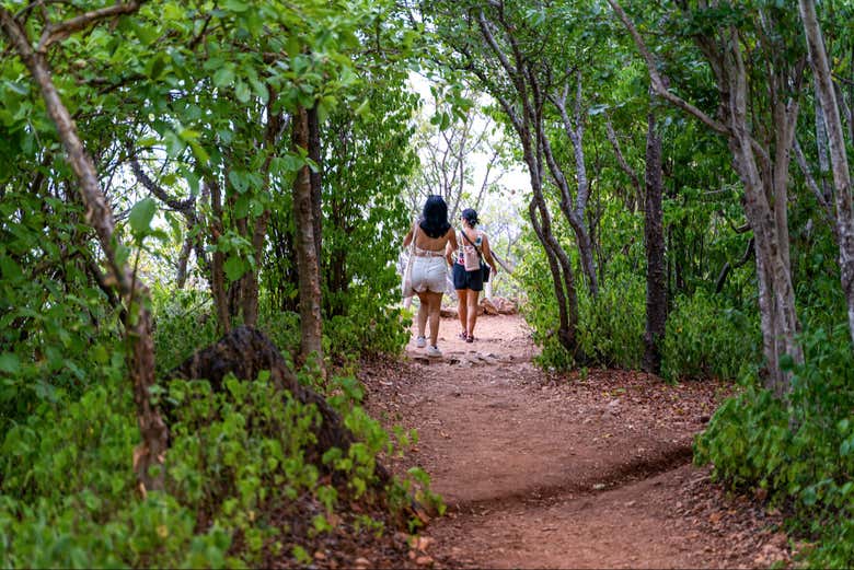 Camino a Punta Cometa