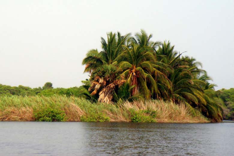 Balade à la lagune Manialtepec
