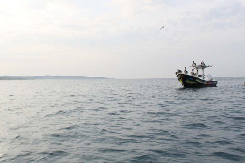 Mar de Puerto Escondido