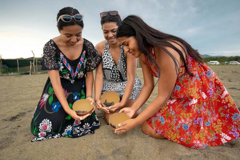 Liberación de tortugas en la playa 
