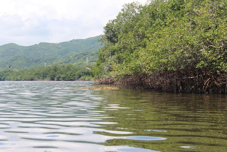 Manialtepec Lagoon