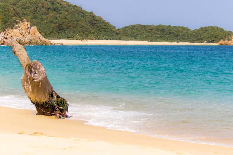 El paraíso mexicano