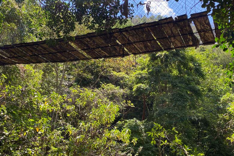 Walk across rivers & hanging bridges