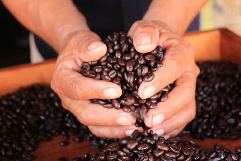 Podréis adquirir un excelente café