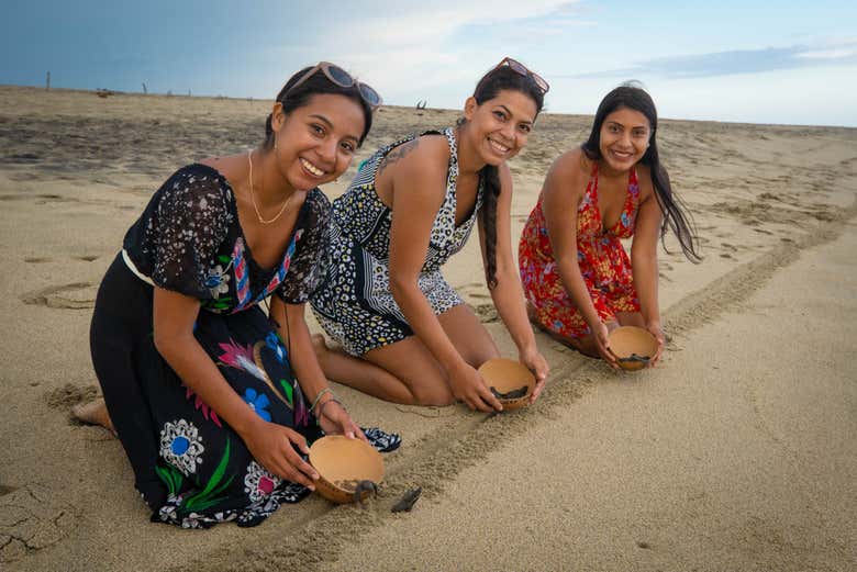 Liberando as tartarugas