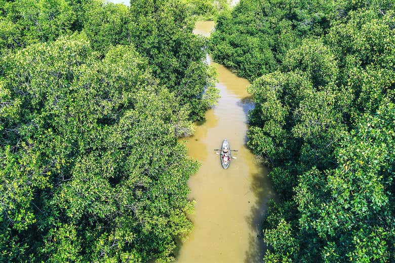Vistas aéreas del río Manialtepec