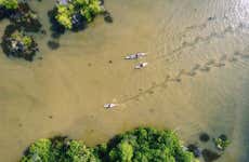 Tour en kayak por la laguna de Manialtepec