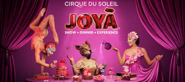 Ingressos para Cirque du Soleil JOYÀ