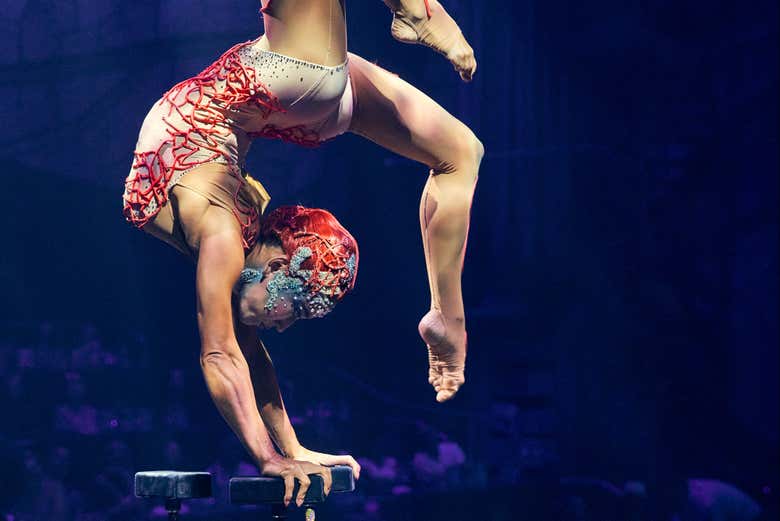 Acrobacias en el Circo del Sol