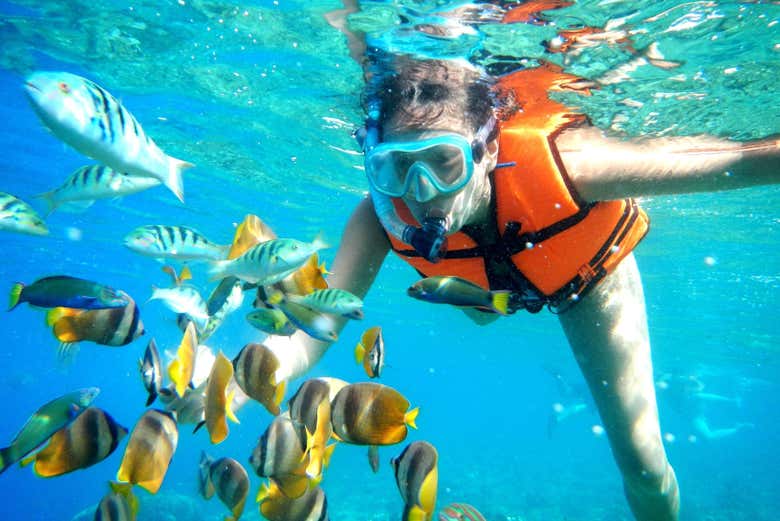 Puerto Morelos Snorkeling Tour in Akumal Book at
