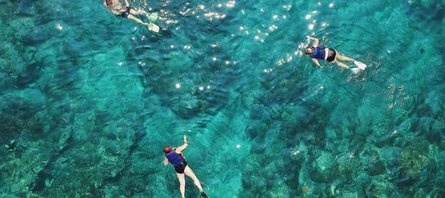 Snorkel en Puerto Morelos