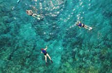 Snorkel en Puerto Morelos