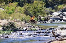 Excursão ao parque Eco Orbit Adventures