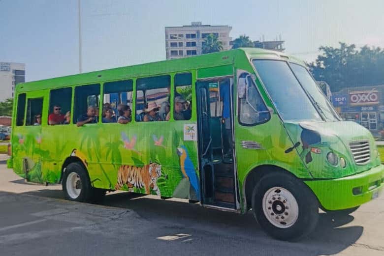 Let's go to Eco Orbit Adventures Park!