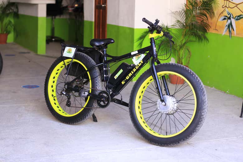 Bicicleta eléctrica que conduciremos