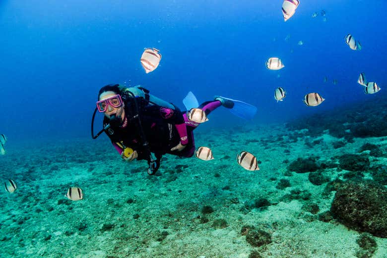 Fondale marino de Las Caletas