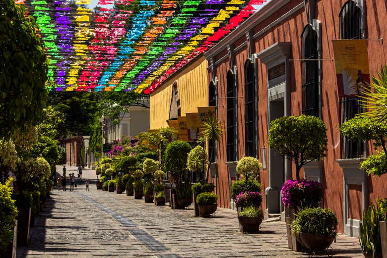 Una calle colorida en Tequila