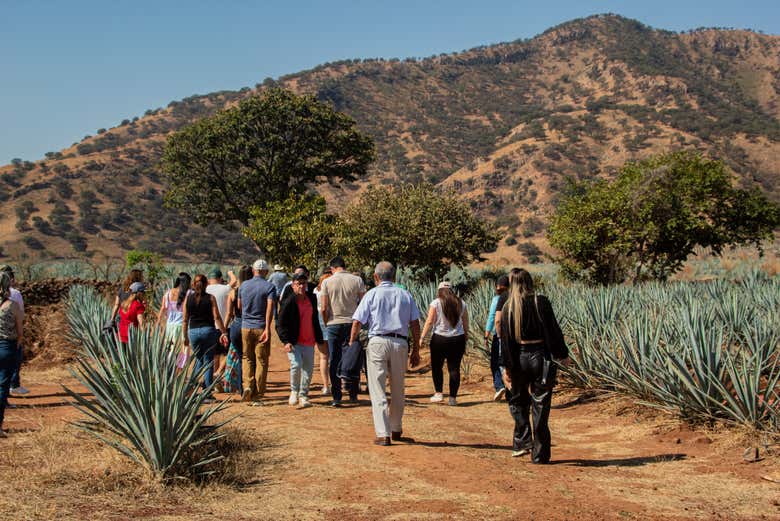 Disfrutando de la excursión a Tequila