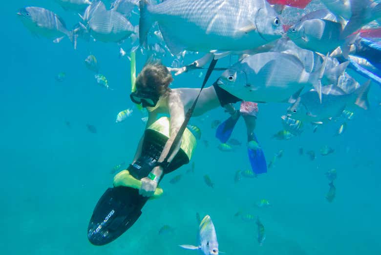 Swimming in Banderas Bay