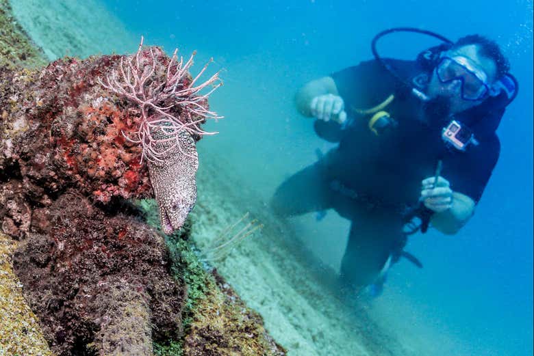 Alla scoperta della fauna marina locale