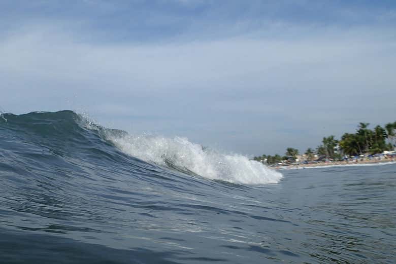 Onde nel Rincón de Guayabitos