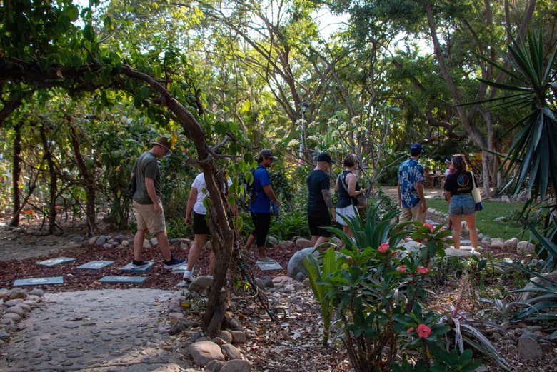 Recorriendo la Isla del Río Cuale