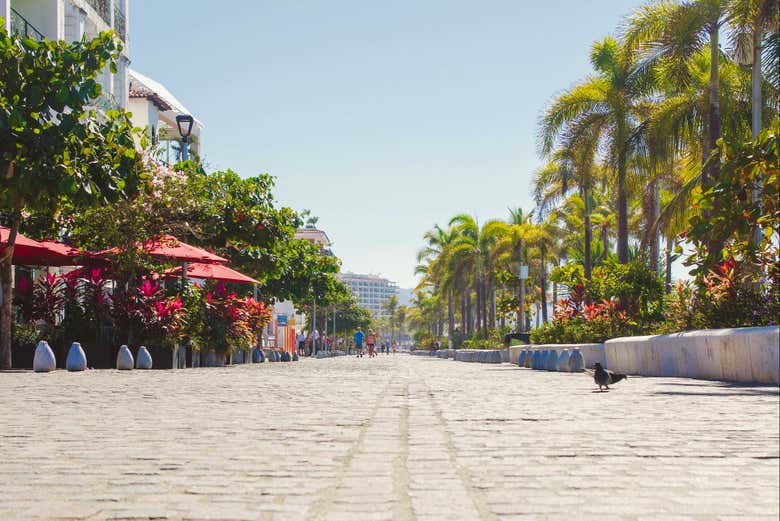 Disfrutando del malecón