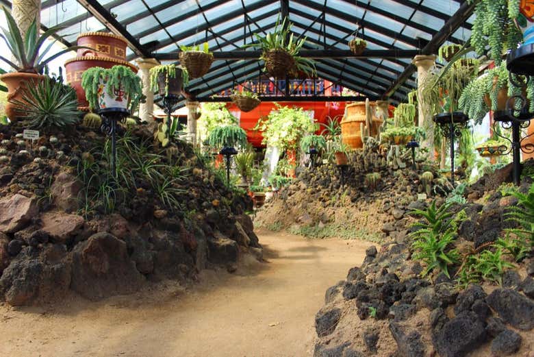 Disfrutando de la visita por el Jardín Botánico de Vallarta