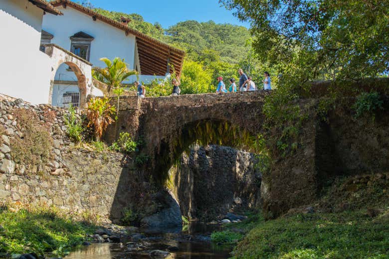 Disfrutando del paisaje