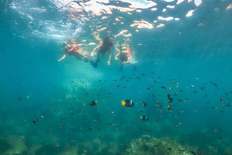 Descubriendo el fondo marino de las islas