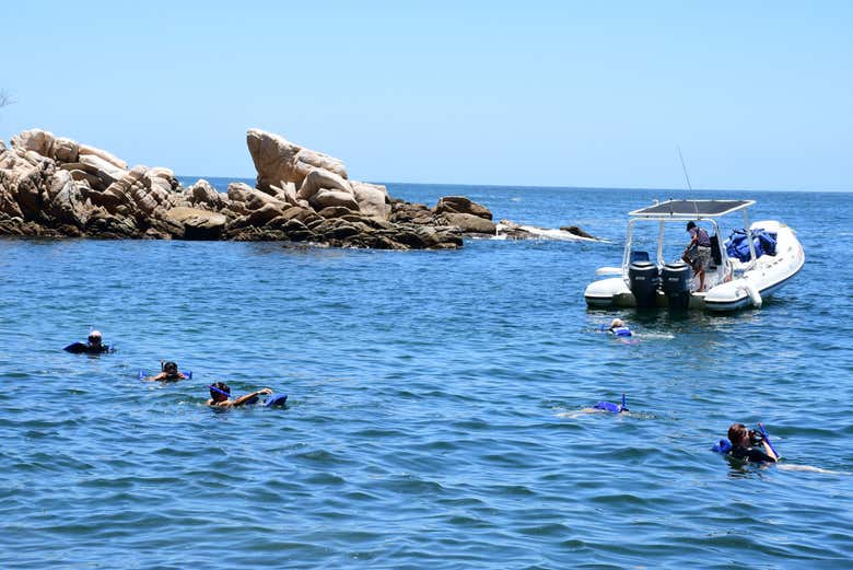 Snorkel em Puerto Vallarta Reserve online em Portugal