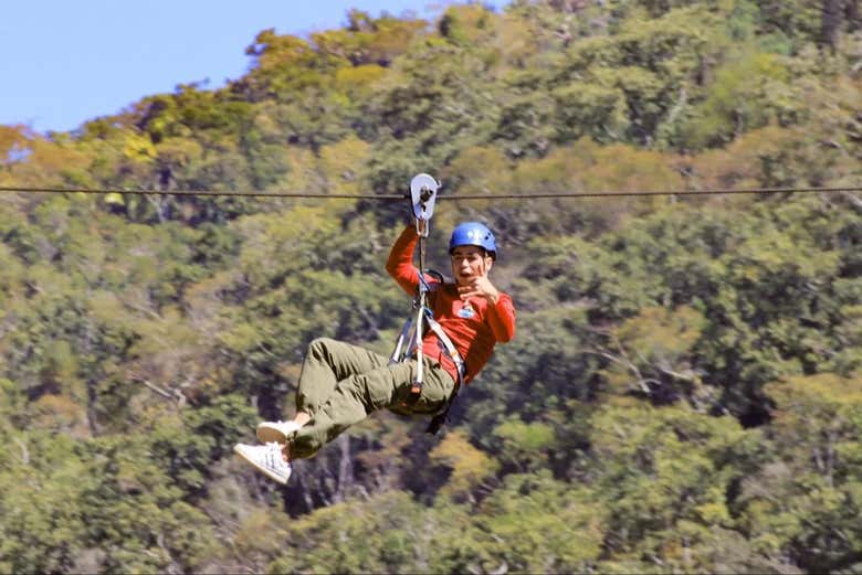 Glide over the forest on a zipline